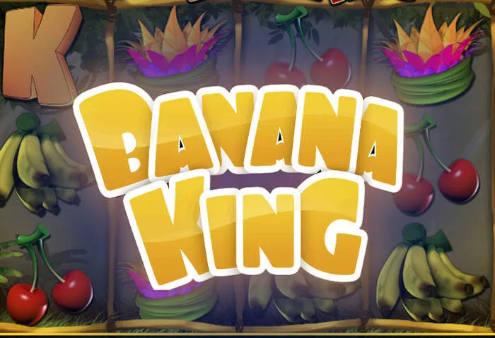 Interfaz móvil, Reseña de Roulettino Casino 2025.