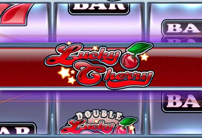 Live dealer Roulettino Casino roulette table