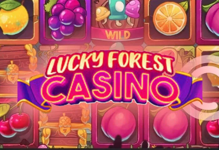 Oferta de bienvenida, Reseña de Roulettino Casino 2025.